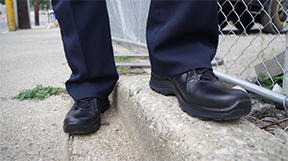 Facts About Walking