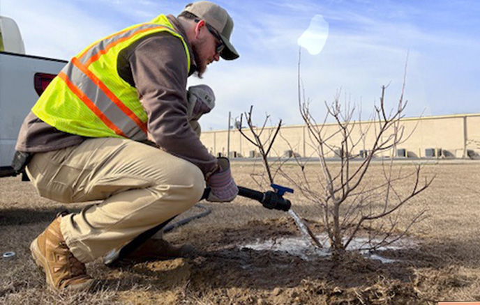 Member of the TREE Fund organization crouched down in HAIX Athletic Mid Coyote boots watering a sapling with a hose