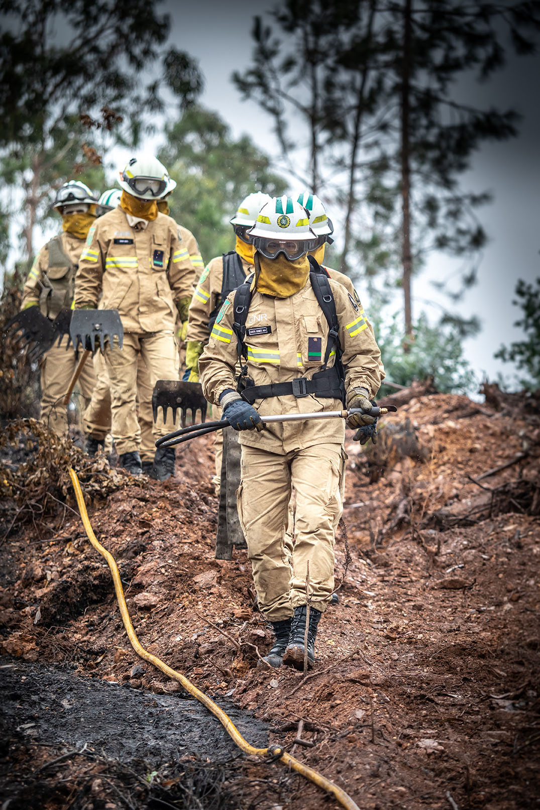 Hux Firefighting One Step in the Green, One Step in the Burned