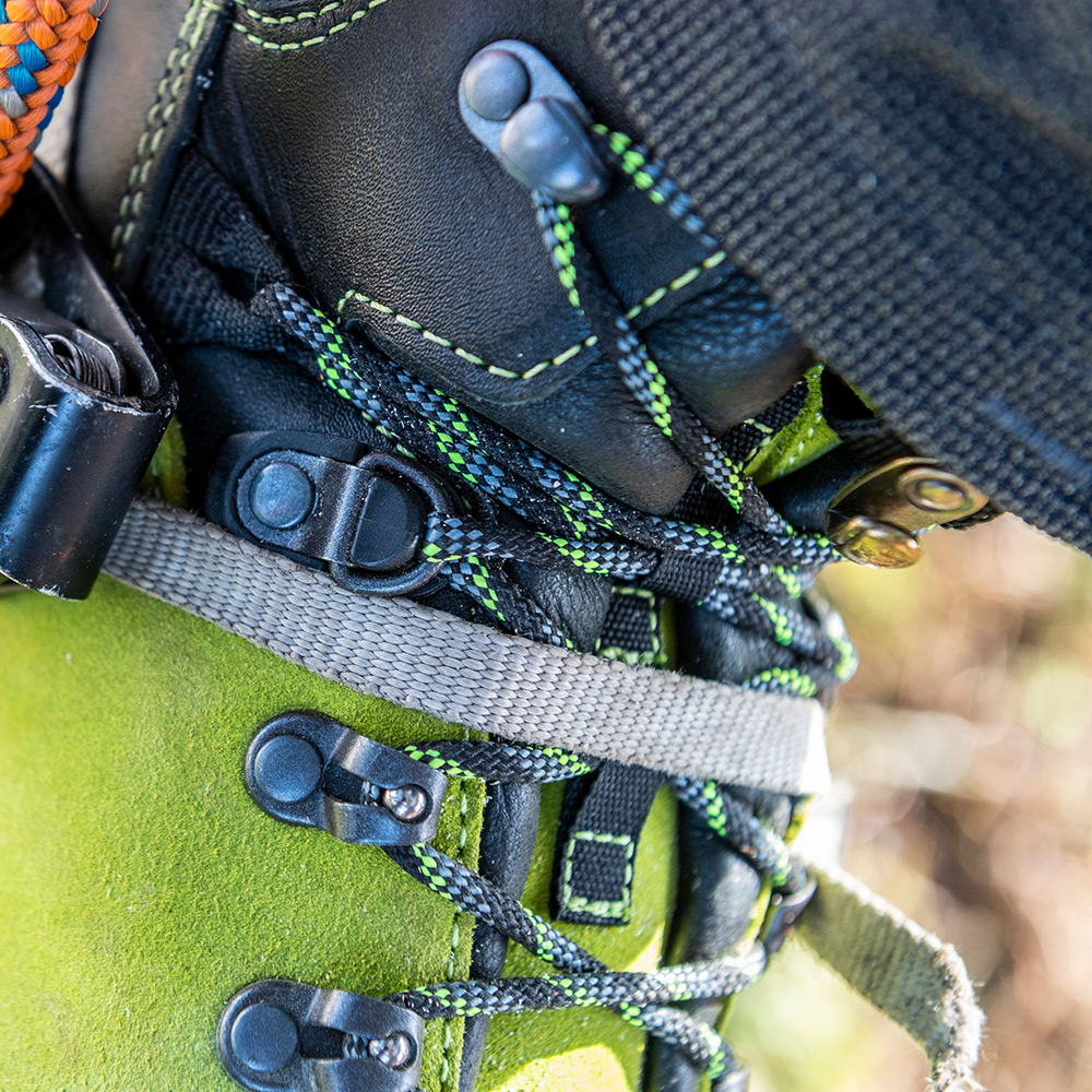 pulg-2zoneFUPAJwJKQJsZD