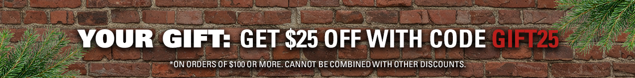 Holiday banner with text offering $25 off orders over $100 using code GIFT25 on a brick background with evergreen branches.