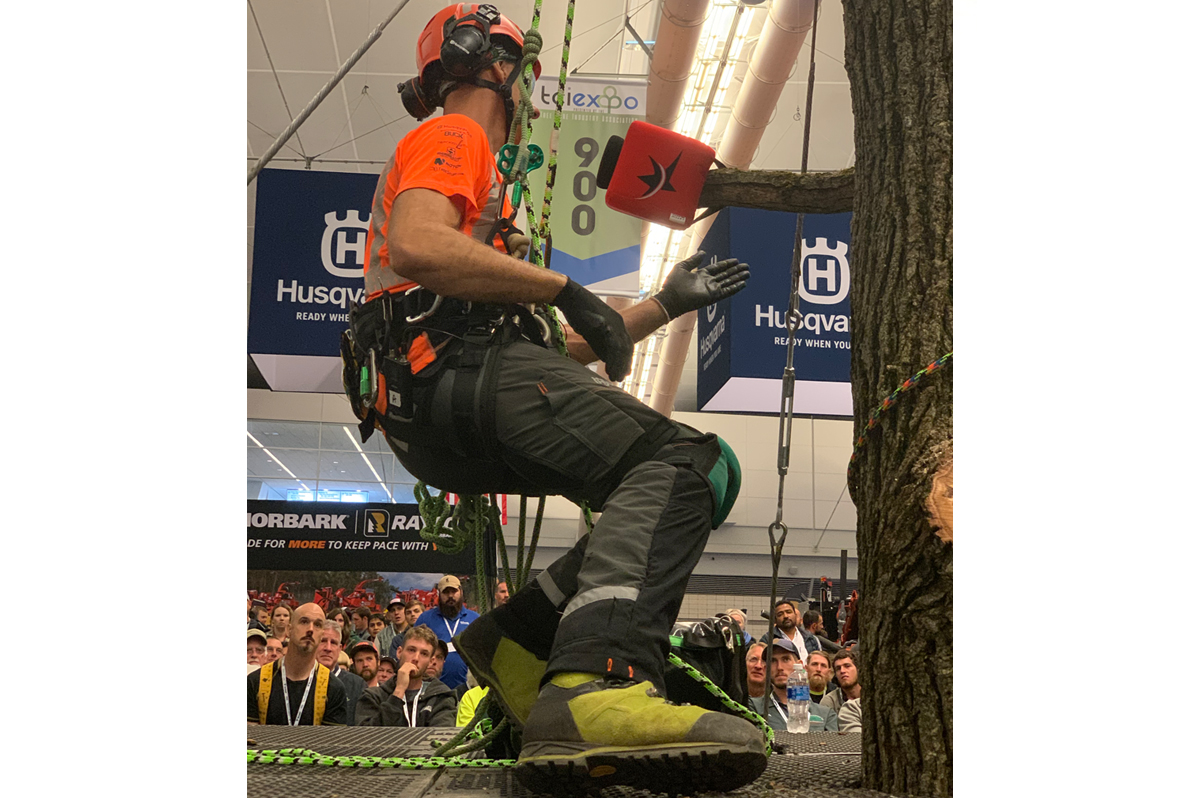 web-thumb-Ultra-Lime15eab223def471