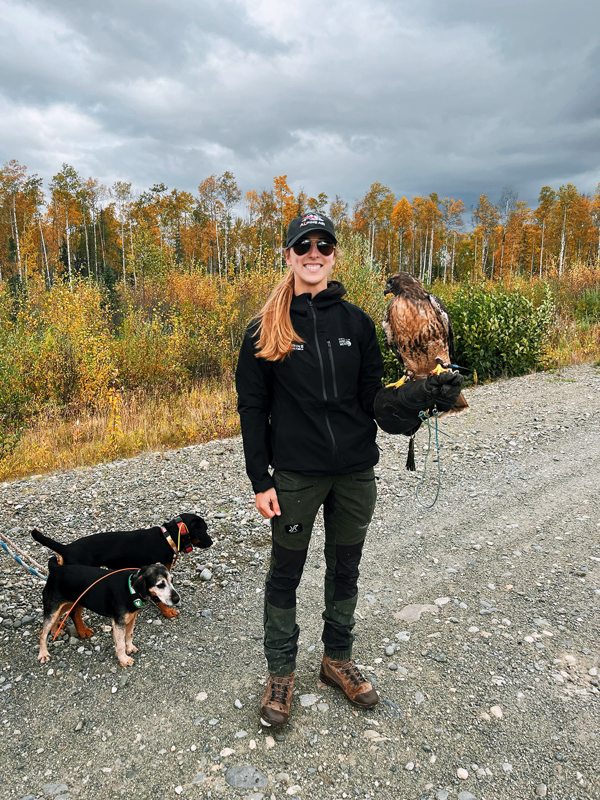 A woman wearing HAIX boots and outdoor gear stands on a gravel path with two dogs and a hawk perched on her gloved arm.