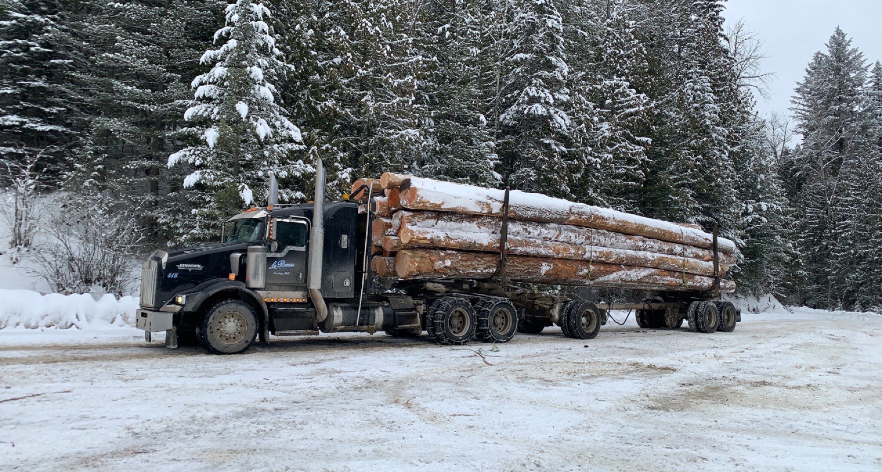 TIMBER! Falling for “Mud Mountain Haulers”