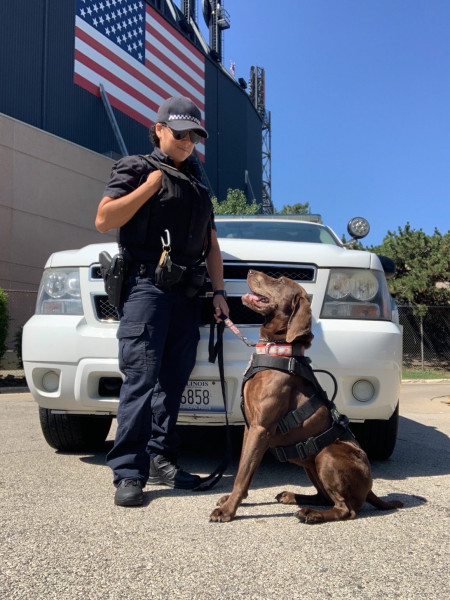 k9rozi1