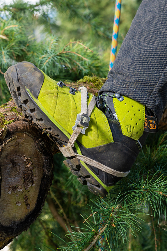 Segment FORESTRY