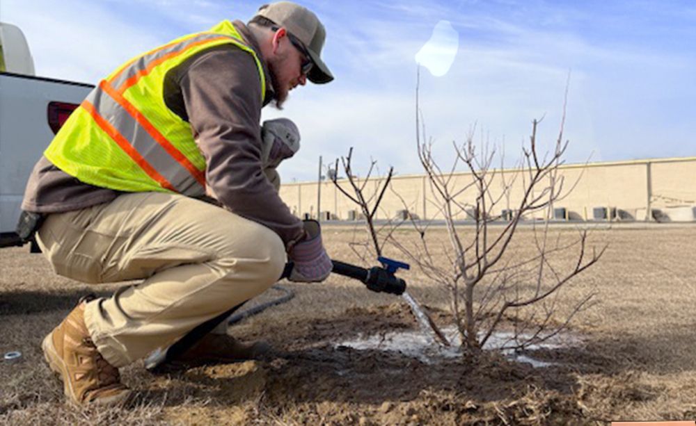 Growing the Future of Forestry with the TREE Fund